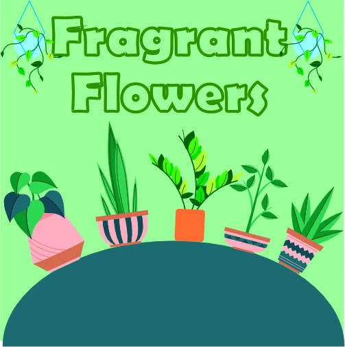 Fragrant Flowers